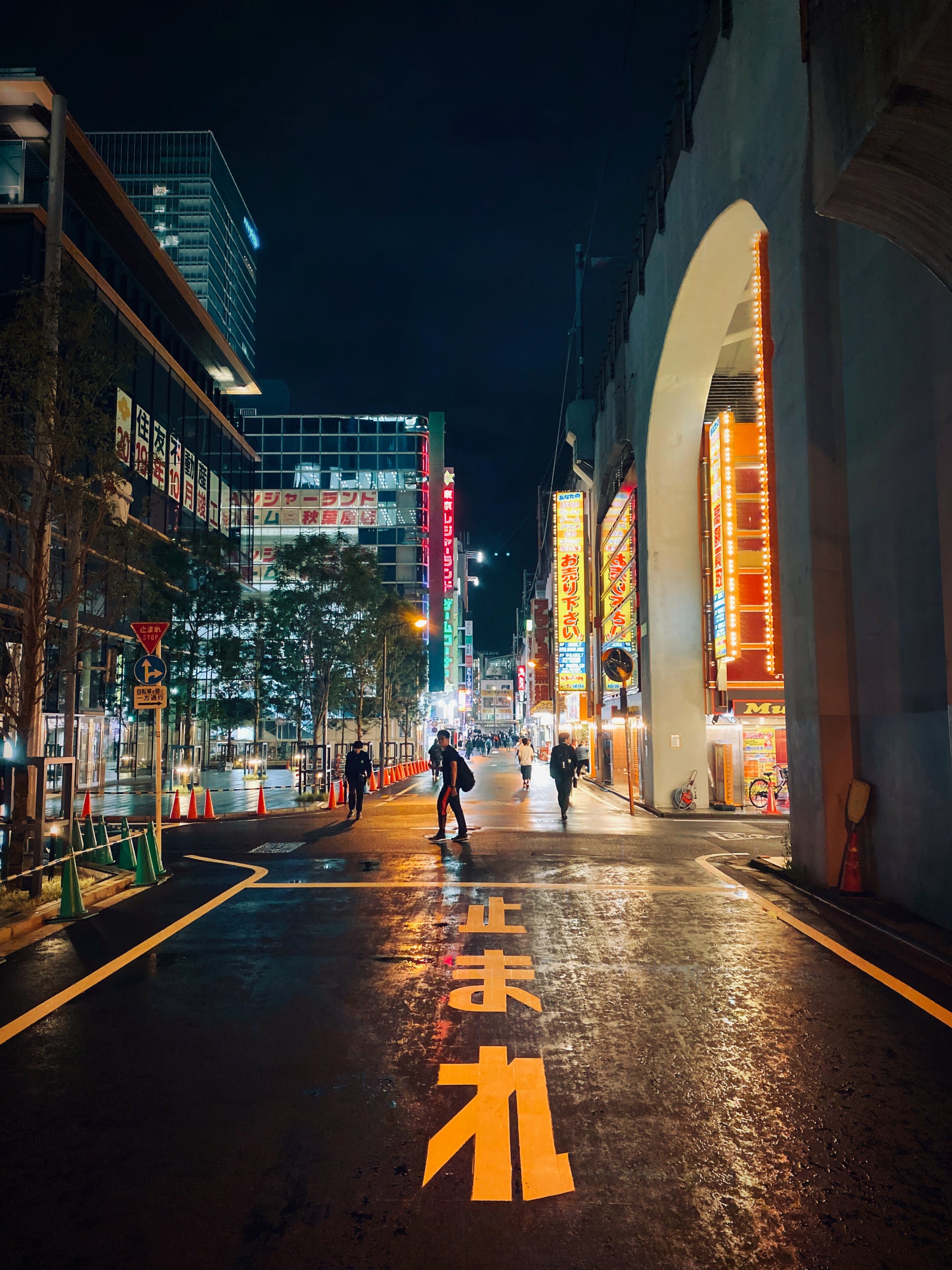 Nachtelijk Akihabara in Tokio Akoestisch Paneel