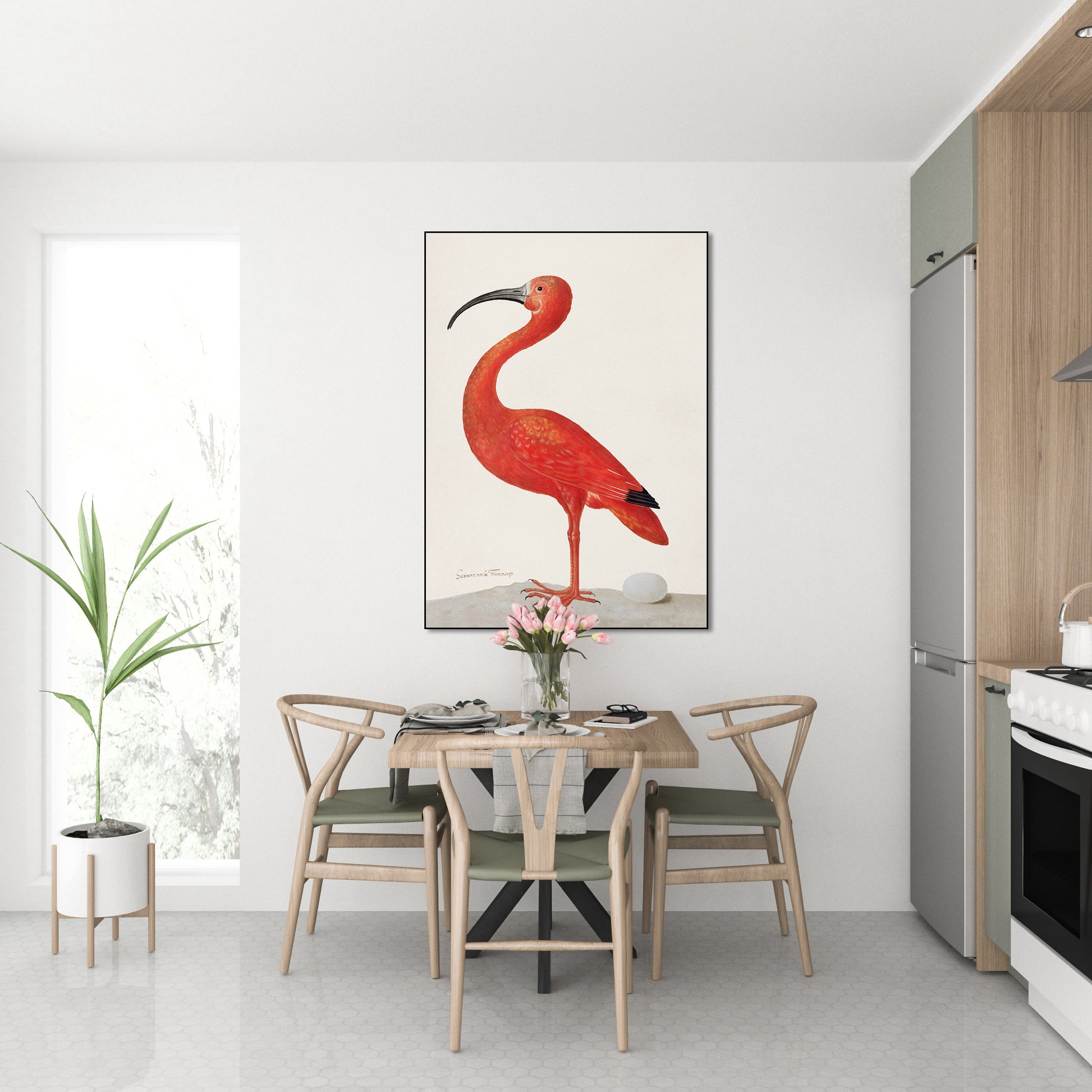 Flamingo met ei - Sibylla Merian - AkoestischeMuur