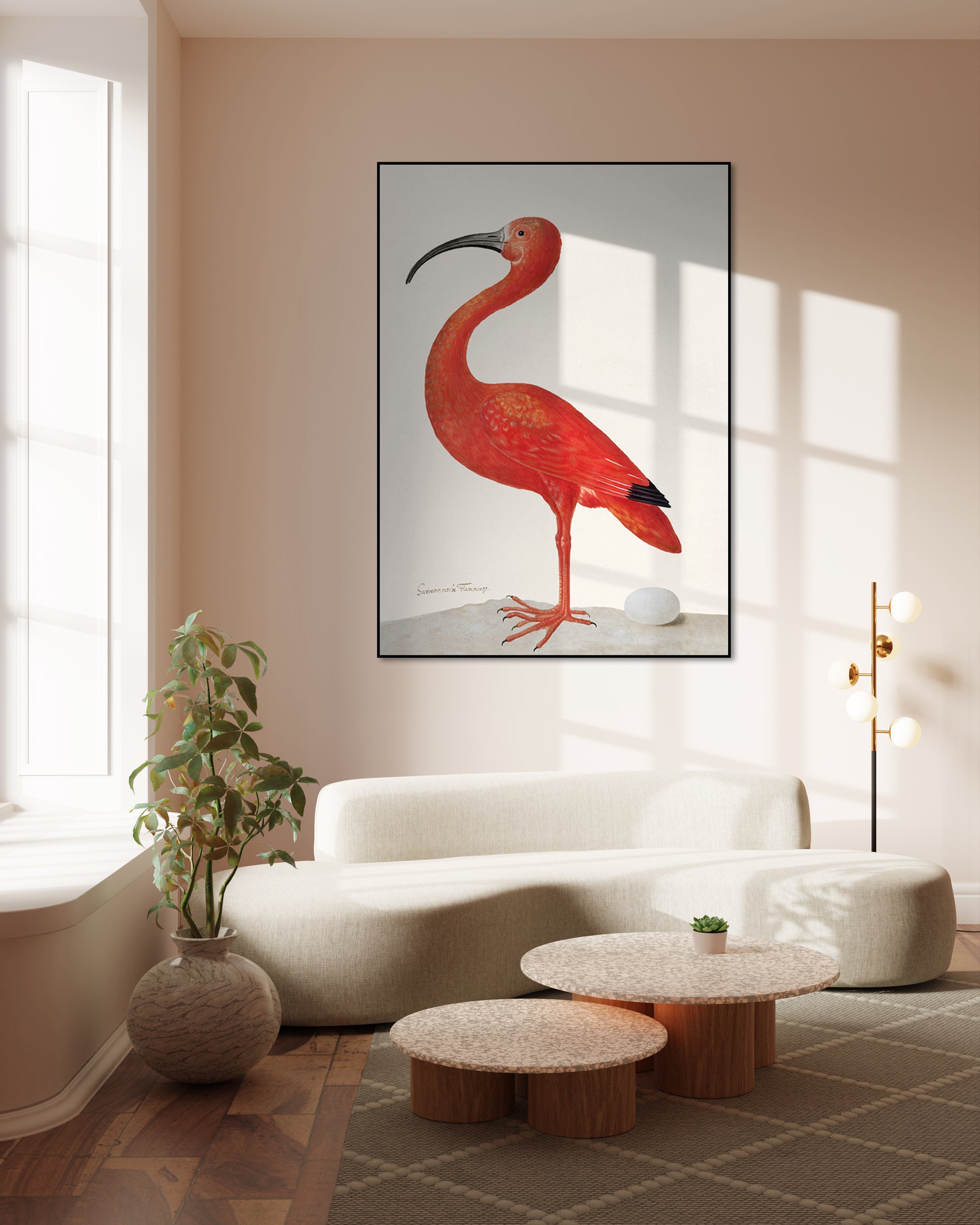 Flamingo met ei - Sibylla Merian - AkoestischeMuur