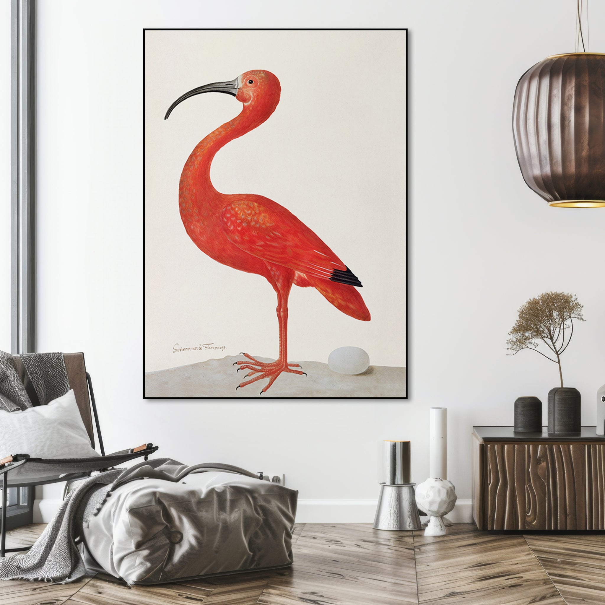 Flamingo met ei - Sibylla Merian - AkoestischeMuur