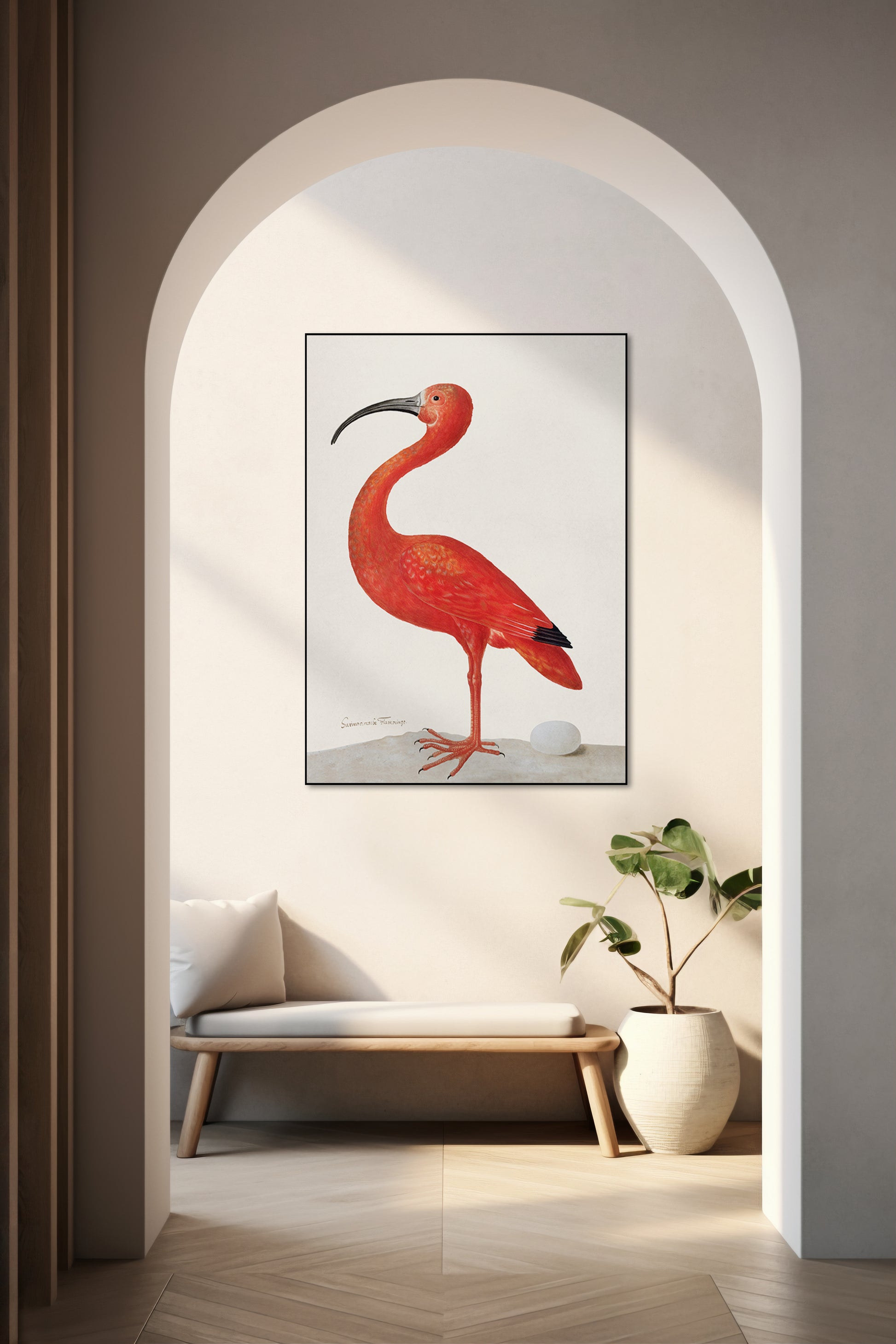 Flamingo met ei - Sibylla Merian - AkoestischeMuur
