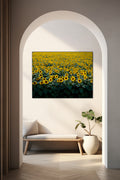 Zonnebloemenveld -  Carol M. Highsmit - AkoestischeMuur