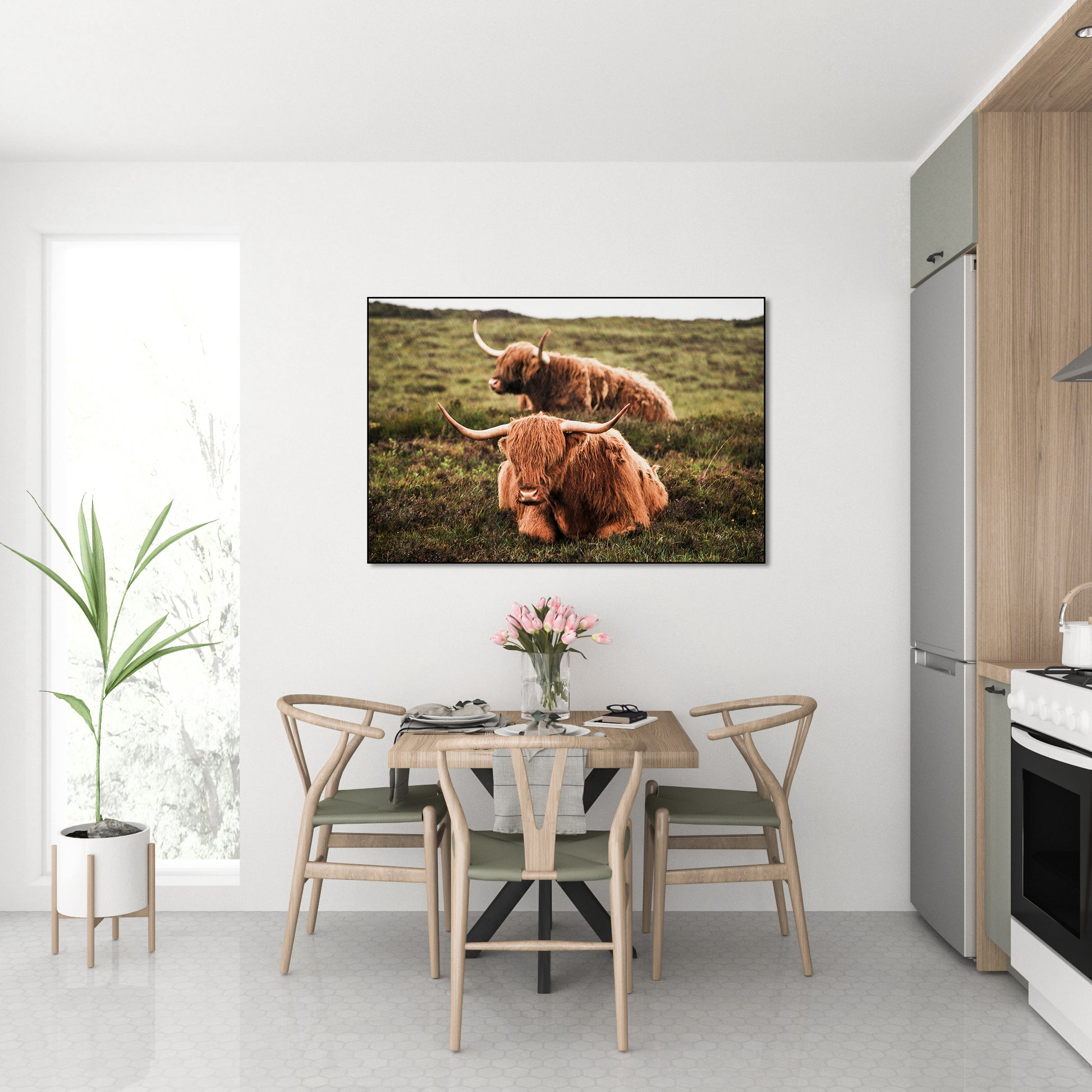 Twee schotse hooglanders in de regen - AkoestischeMuur