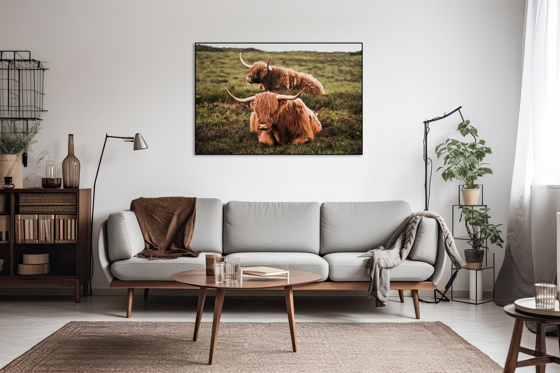 Twee schotse hooglanders in de regen - AkoestischeMuur
