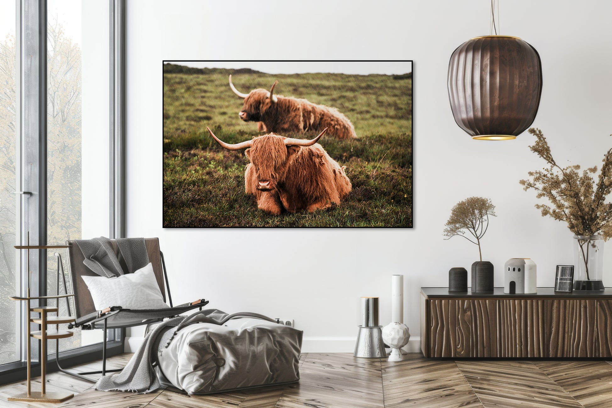 Twee schotse hooglanders in de regen - AkoestischeMuur