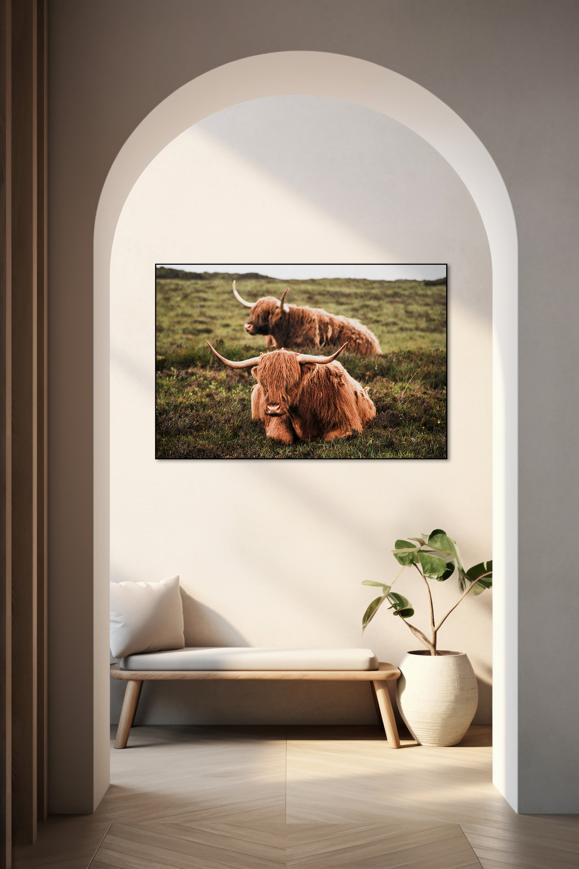Twee schotse hooglanders in de regen - AkoestischeMuur