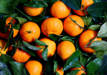 Ferse sinaasappels in de natuur - AkoestischeMuur