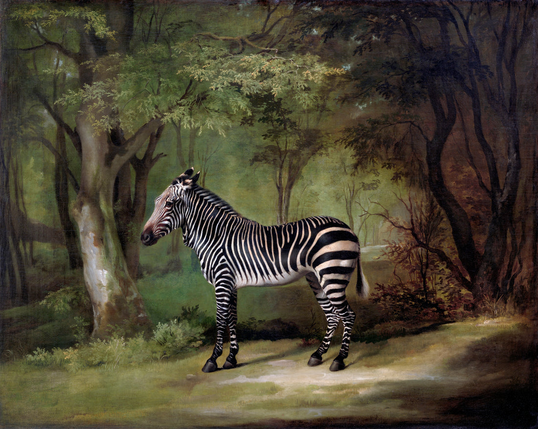 Zebra (1763) George Stubbs