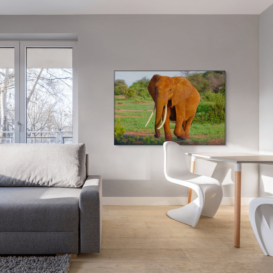 Olifant in het wild met zonlicht - AkoestischeMuur