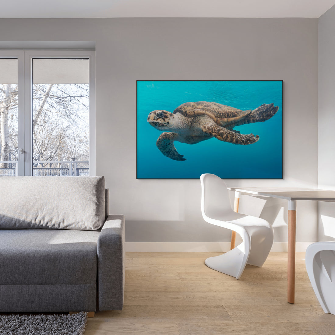 Schildpad in het water - AkoestischeMuur