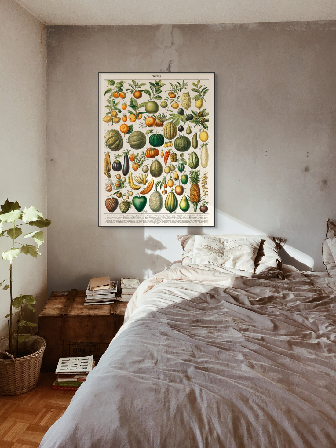 Vintage tekenig van fruit en groenten - AkoestischeMuur