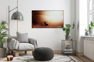 Hert in zomers rood landschap - AkoestischeMuur